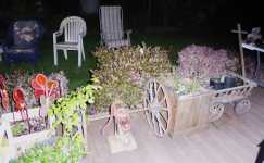 2575 Windsor Circle E Estate Sale Item Pic