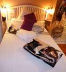 1270 W. 10th Ave. Estate Sale Item Pic