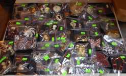 5380 Glenn Ellen Dr. Estate Sale Item Pic