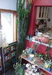 2346 Monroe St. Estate Sale Item Pic