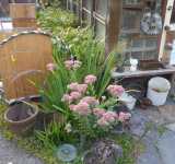 2346 Monroe St. Estate Sale Item Pic